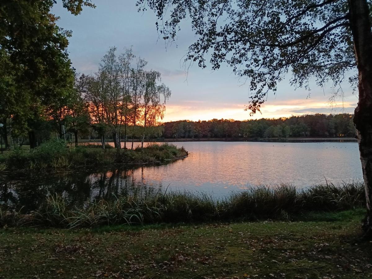 Moliere Villa Rekem Bagian luar foto